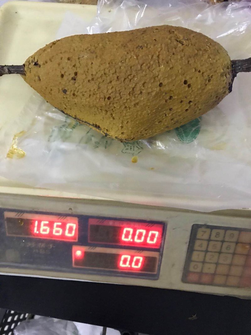 广西野生蜂蜜，小蜂，崖蜂。