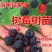 双季红树莓黄树莓覆盆子黑树莓苗南北方花盆庭院种植当年结果