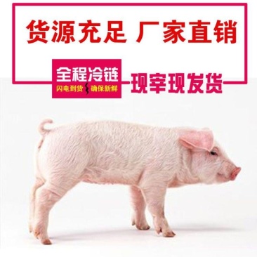 新鲜乳猪(小耳朵)，冷冻乳猪烤乳猪最合适，全程冷链