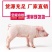 新鲜乳猪(小耳朵)，冷冻乳猪烤乳猪最合适，全程冷链