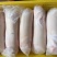 新鲜乳猪(小耳朵)，冷冻乳猪烤乳猪最合适，全程冷链