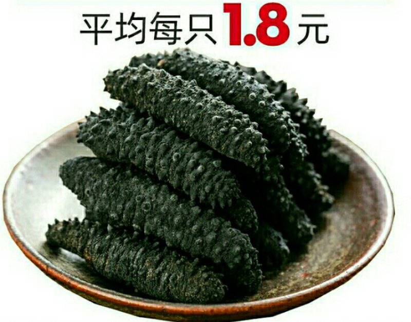 淡干海参小黑刺参干货泡发率高滋补营养美味包邮