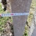 水泥立柱，水泥杆，水泥柱2.3m～2.4m只用了一次处理