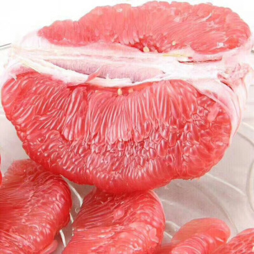 红肉蜜柚苗口感好酸甜可口易成活