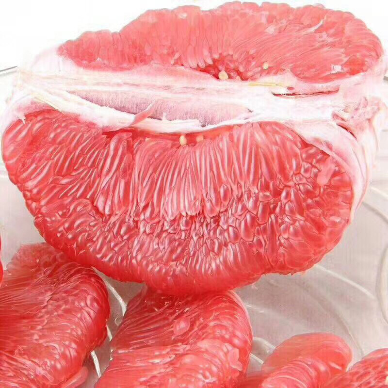 红肉蜜柚苗口感好酸甜可口易成活