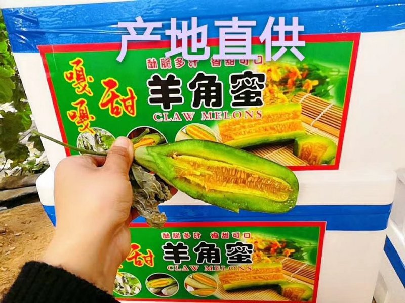 山东羊角蜜甜瓜，羊角脆甜瓜，地头装车，质量有保证