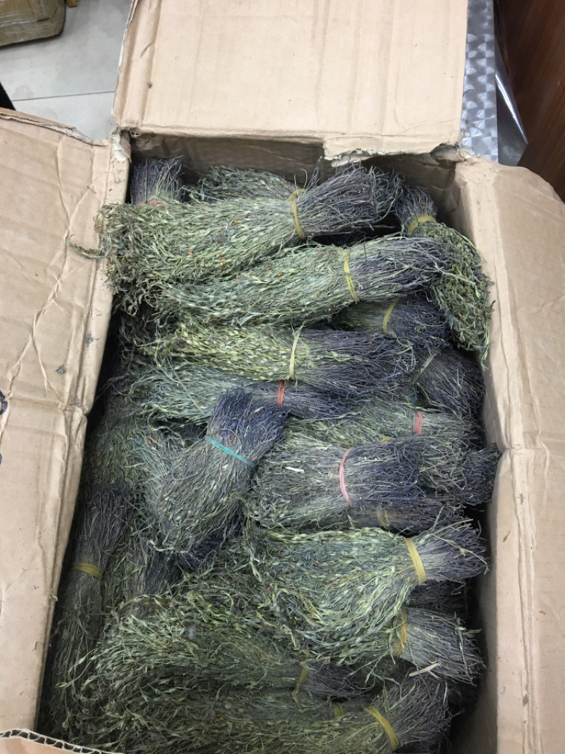 独脚金10公分的特级货包邮