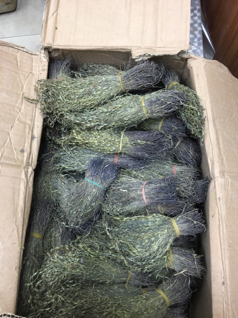 独脚金10公分的特级货包邮