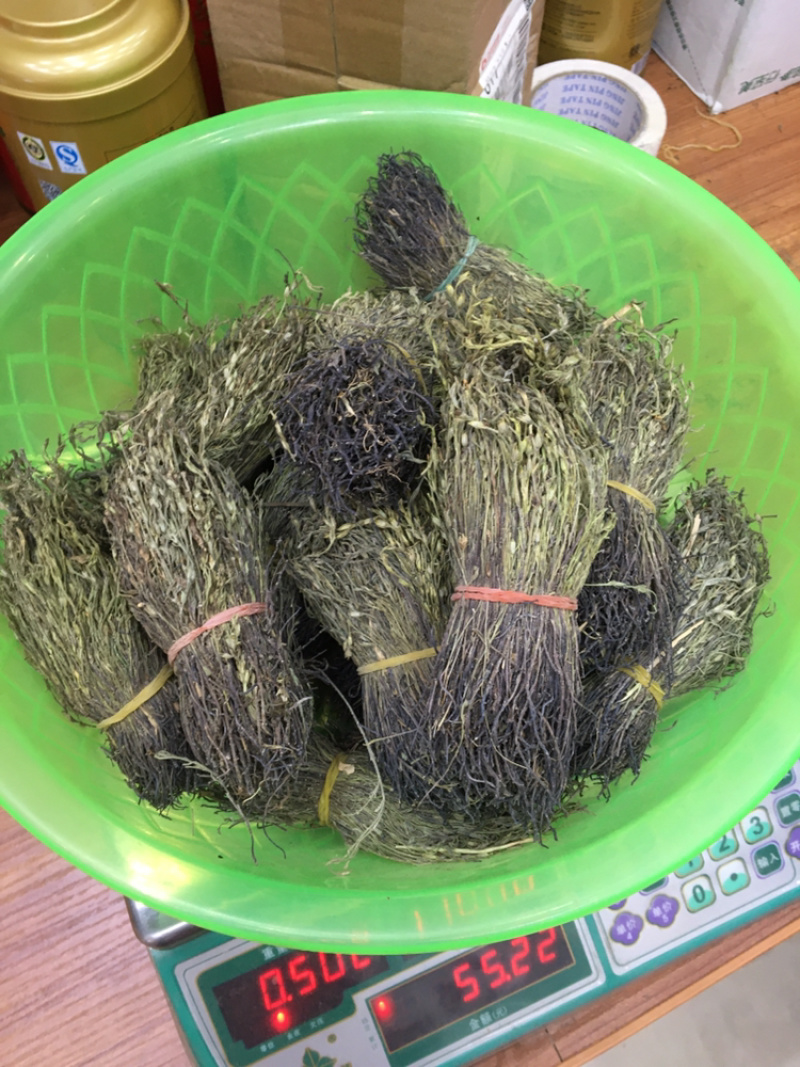 独脚金10公分的特级货包邮