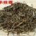 半支莲，常年批发供应半支莲，中草药