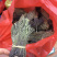 独脚金10公分的特级货包邮