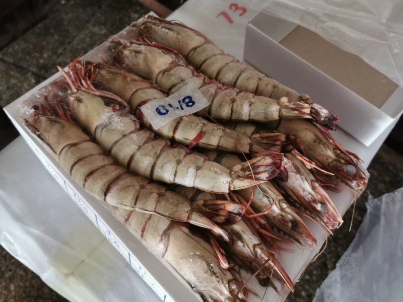 长期稳定供应草虾大黑虎虾