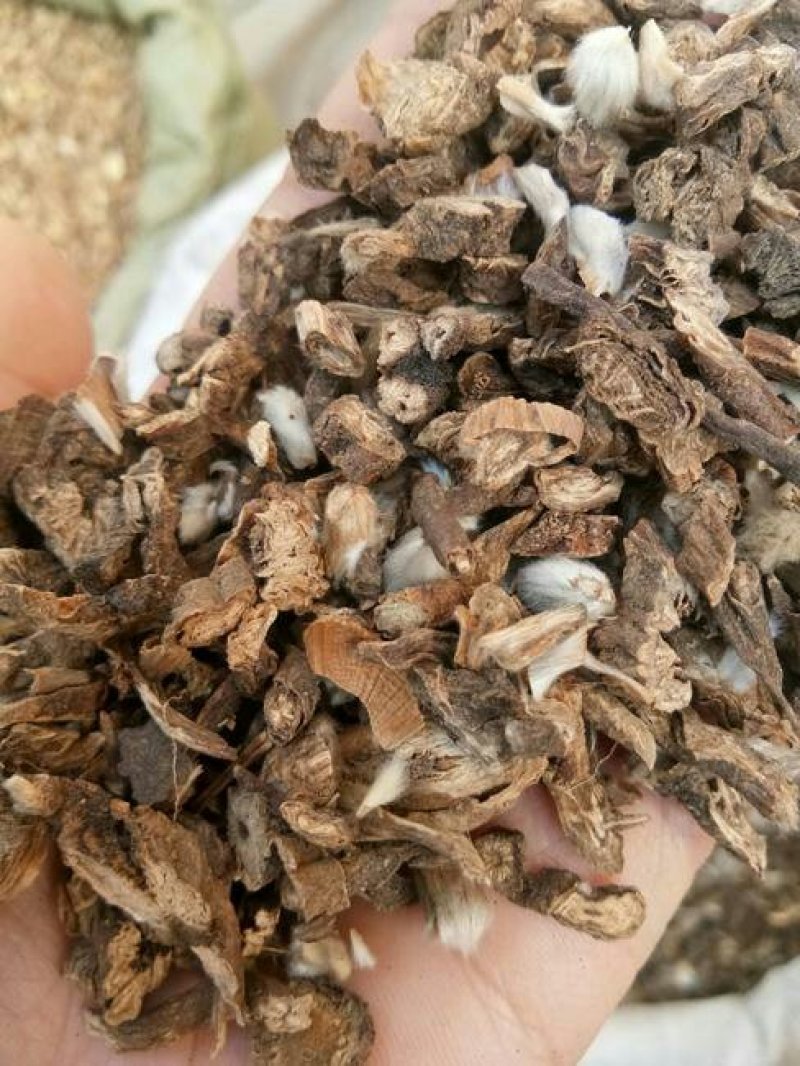 白头翁，常年批发供应中药材白头翁，各种规格