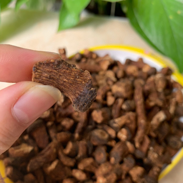 蒲公英根茶大根电商实体微商淘货源一件代发