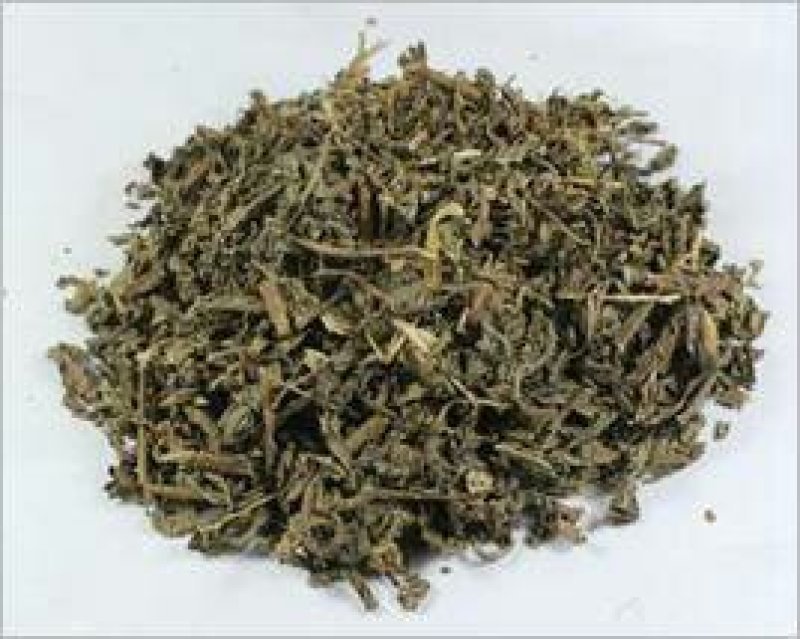 败酱草，常年批发供应中草药，黄花败酱草