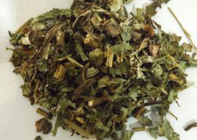 败酱草，常年批发供应中草药，黄花败酱草