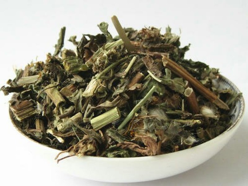 败酱草，常年批发供应中草药，黄花败酱草