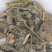 大青叶，常年批发供应，大青叶中草药