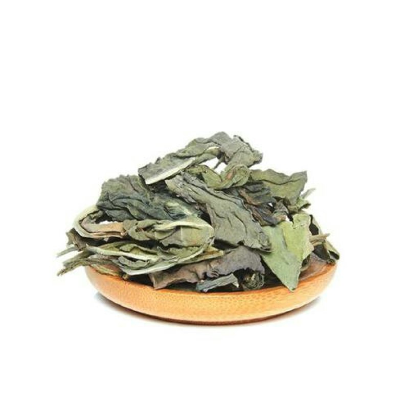 大青叶，常年批发供应，大青叶中草药