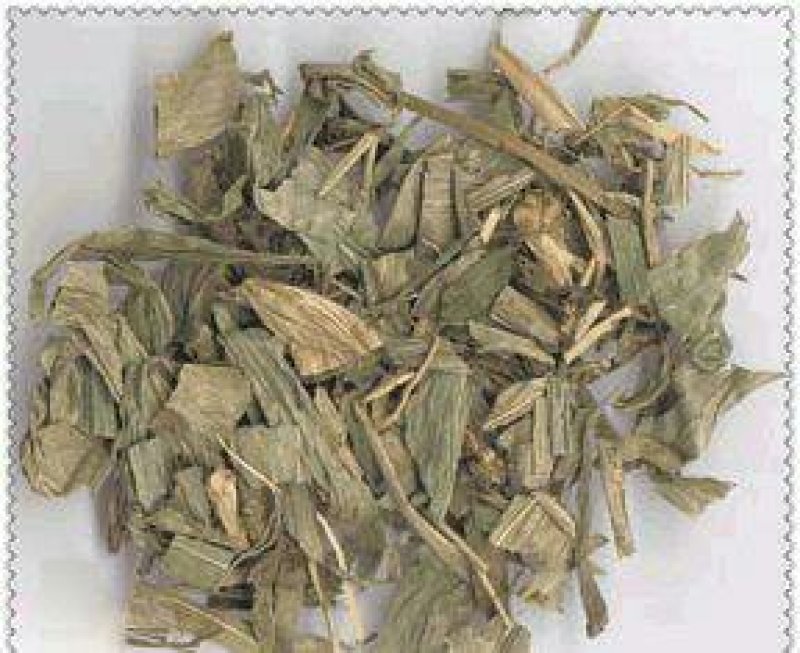 大青叶，常年批发供应，大青叶中草药