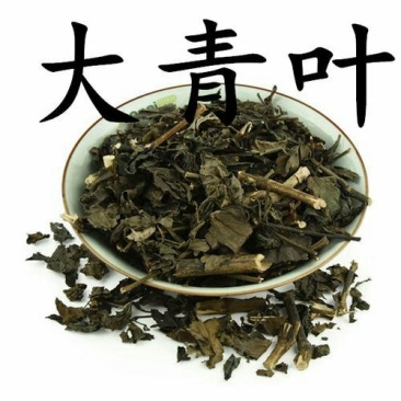 大青叶，常年批发供应，大青叶中草药