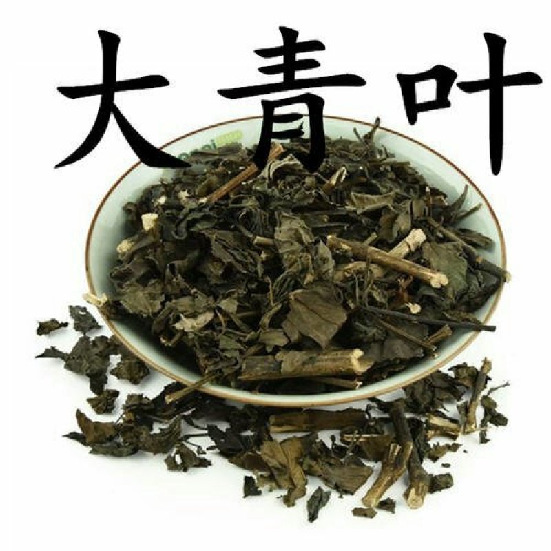 大青叶，常年批发供应，大青叶中草药