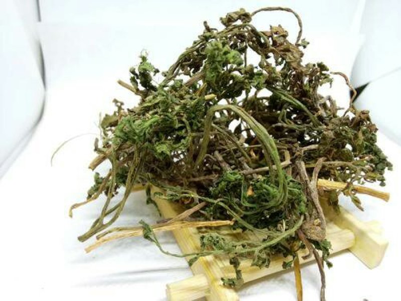 一朵云，小春花，阴地蕨，中草药常年批发供应