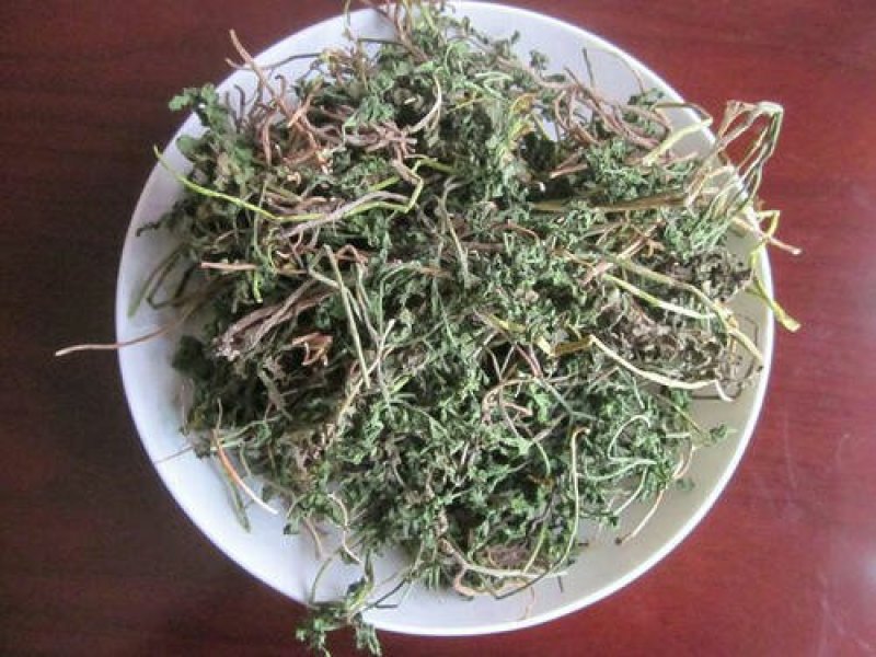 一朵云，小春花，阴地蕨，中草药常年批发供应