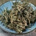 一朵云，小春花，阴地蕨，中草药常年批发供应