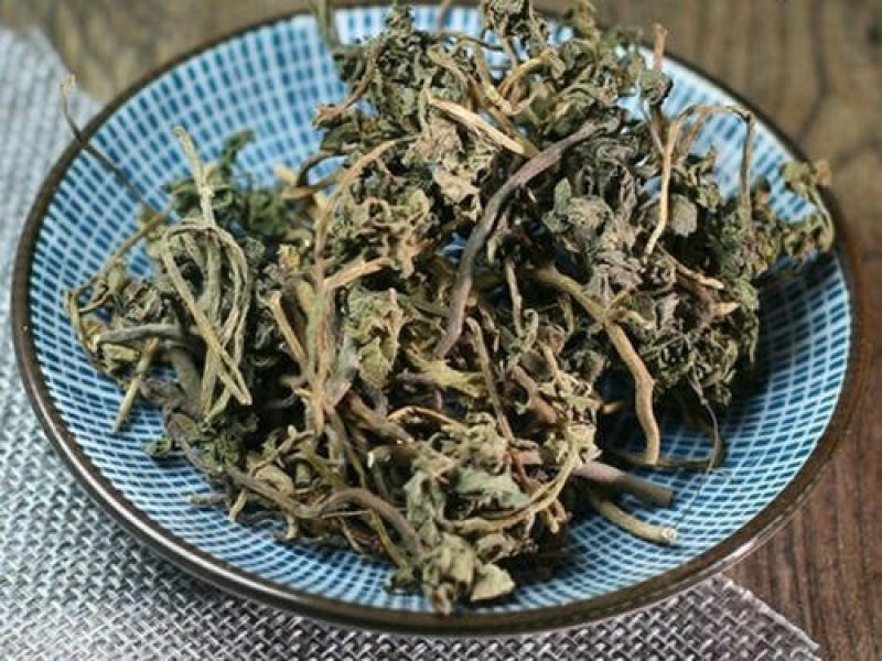 一朵云，小春花，阴地蕨，中草药常年批发供应