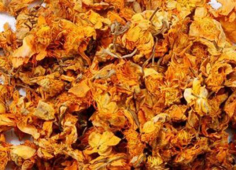 金莲花，常年批发供应，散装药食两用，金莲花