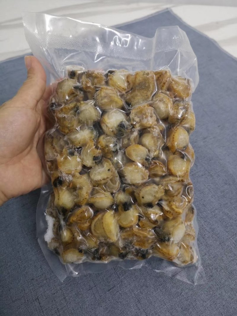 扇贝