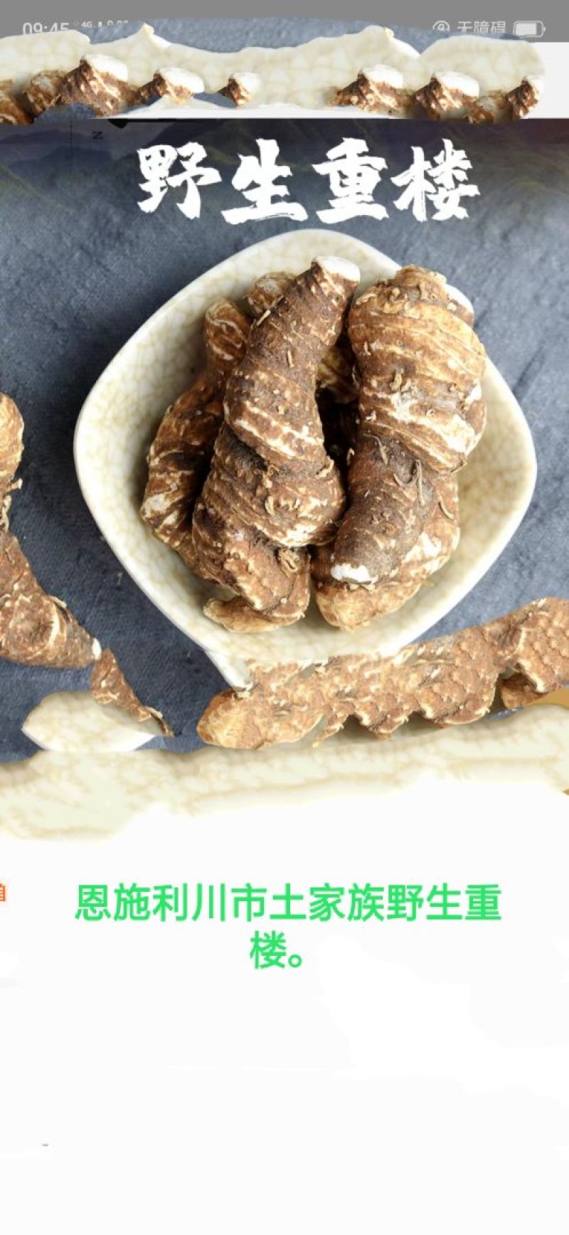 野生七叶一支花