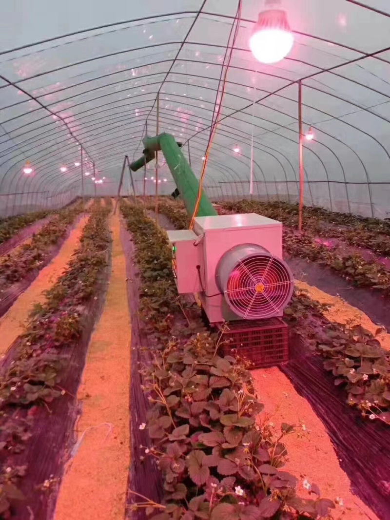 冬季大棚加温取暖风机温室花卉大棚养殖电暖风机