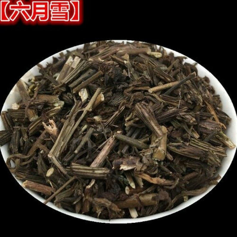 六月雪，白马骨，常年批发供应中草药，白马骨，六月雪