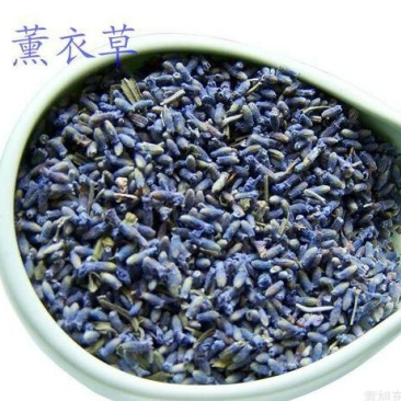 薰衣草，常年批发供应药食同源，薰衣草