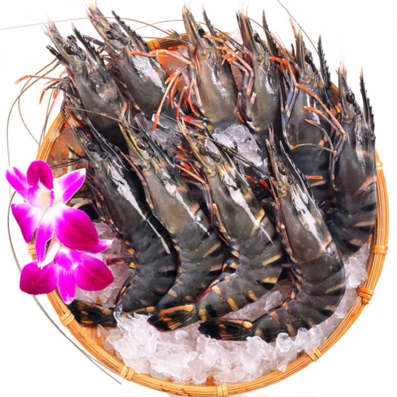 草虾