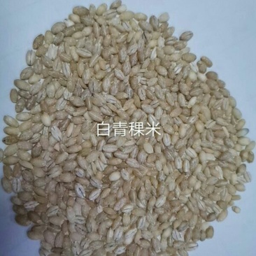青稞米酒厂，实用，都可以