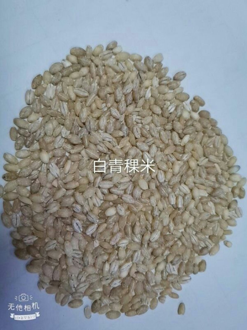 青稞米酒厂，实用，都可以