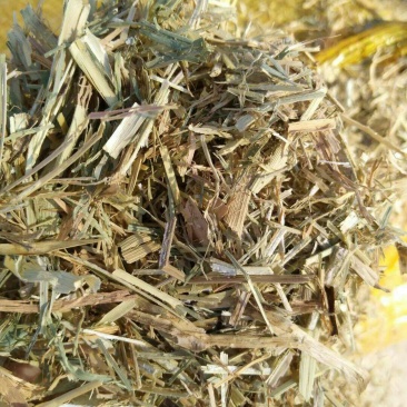 谷草。各大养殖场可以随时联系我