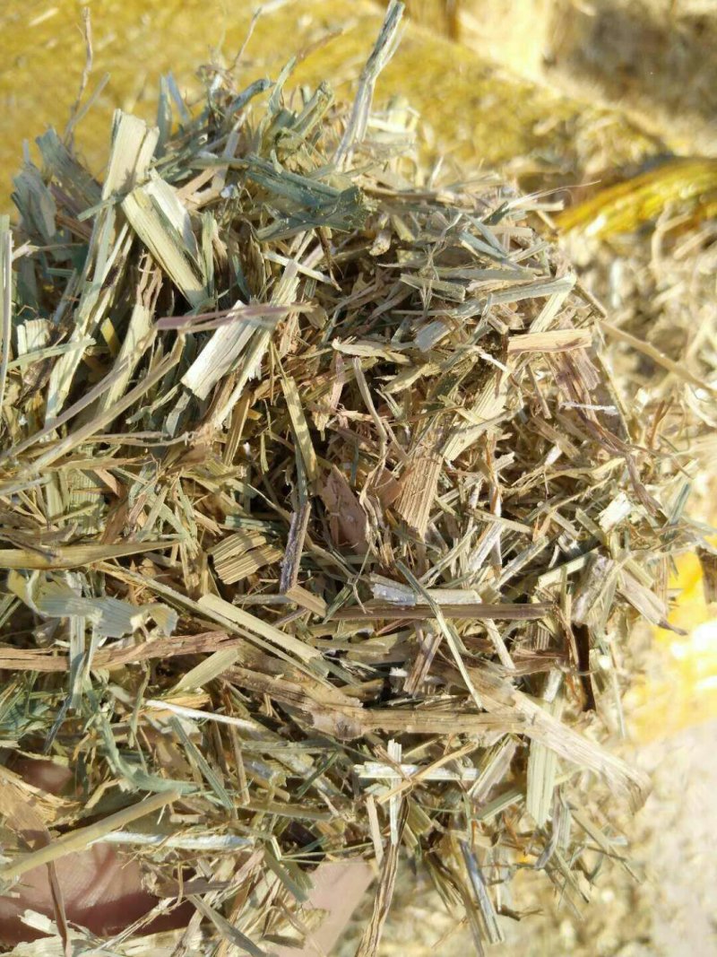 谷草。各大养殖场可以随时联系我