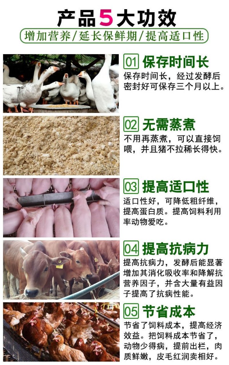豆腐渣豆渣发酵专用发酵剂喂猪牛羊养鱼虾发酵豆粕