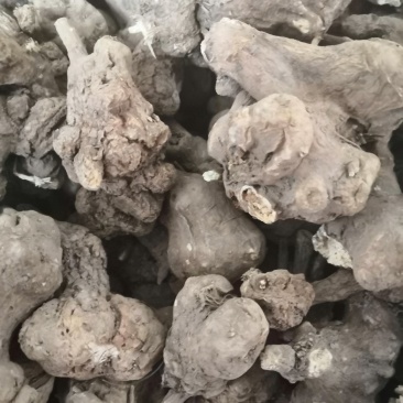 白术：白术芽干货.大白术个子统货特价白术小圆片量大包邮。