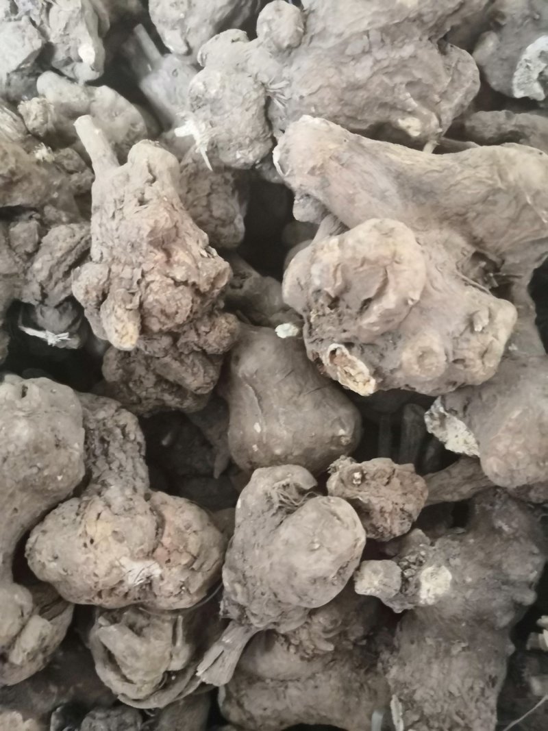 白术：白术芽干货.大白术个子统货特价白术小圆片量大包邮。