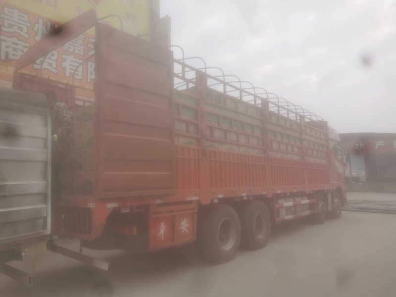 贵州，云南大中小码精品粉蛋