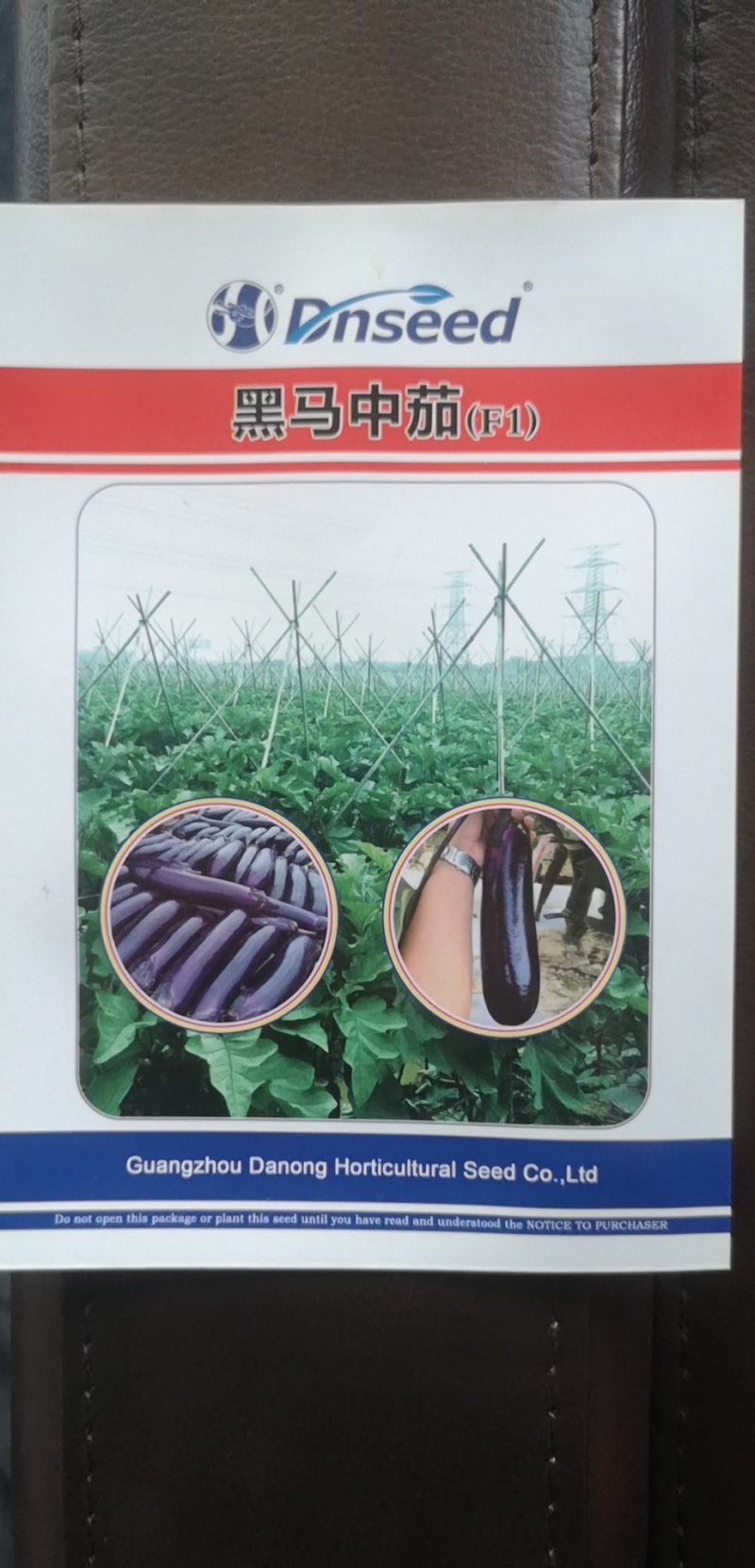 茄子中的黑马黑马中茄种子淡绿肉紫红长茄升级换代品种