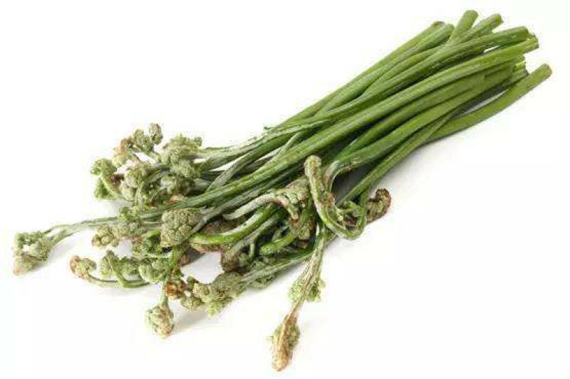 野生蕨菜