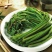 野生蕨菜
