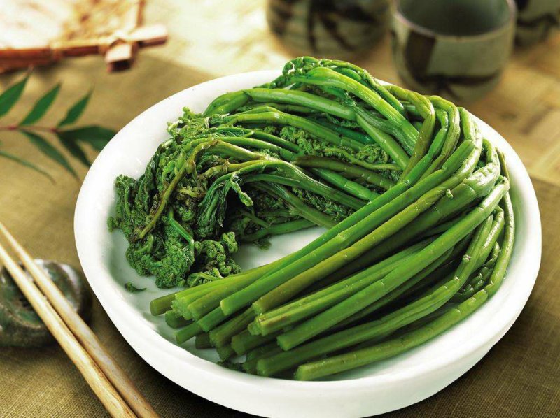 野生蕨菜
