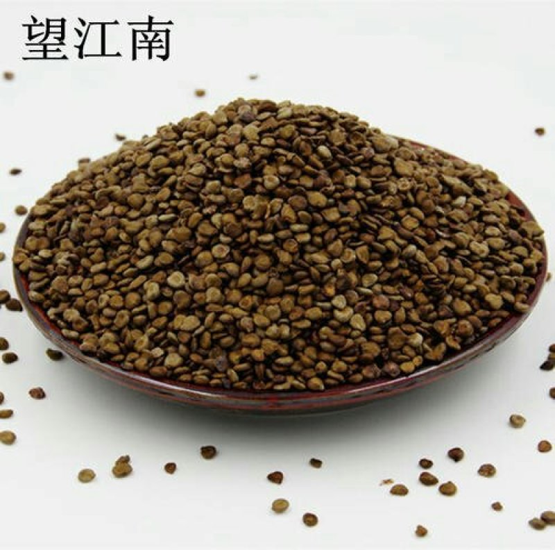 望江南，常年批发供应望江南，别名槐豆